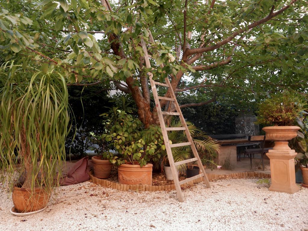 Vieux Port Panier Jardin Hotel Marseille Exterior photo